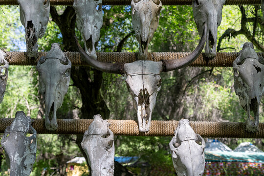 The hanging horse's head is a Kazakh belief in the horse's head culture