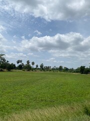 field and blue sky