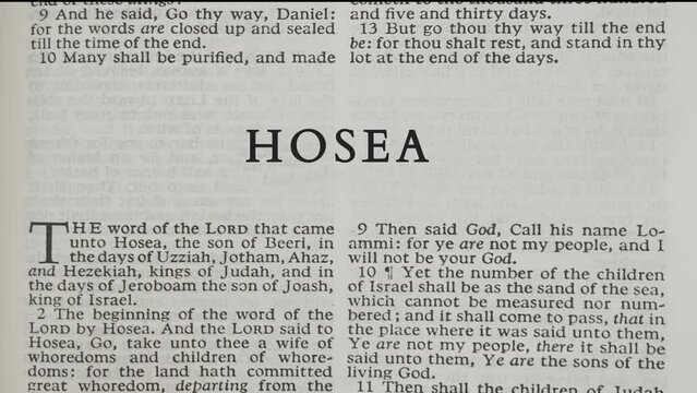 Hosea, Book Of The Old Testament