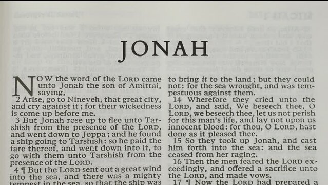 Jonah, Book Of The Old Testament