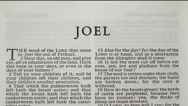 Joel, Book Of The Old Testament