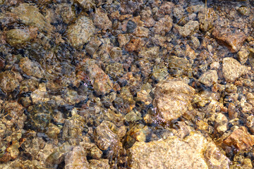 texture background