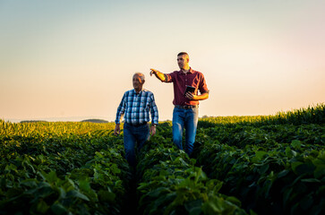 Two farmers walking in a field examining soy crop.