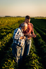 Two farmers standing in a field examining soy crop and using tablet.