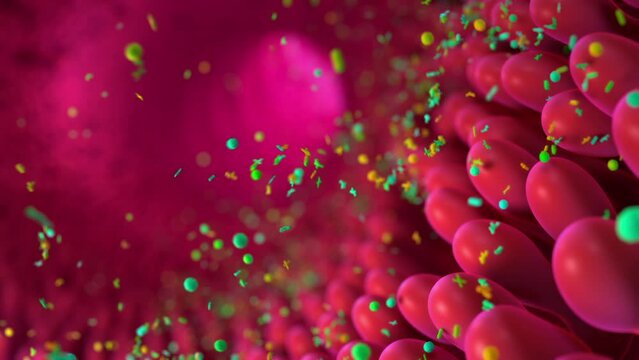 Intestinal microbiome with various bacteria floating