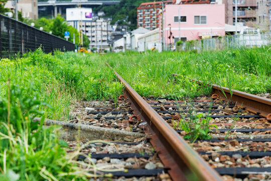 新緑の植物に覆われた地方鉄道の線路