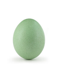 green easter egg isolated on white background