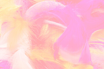 Colorful feather background.