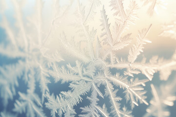 Close-up of naturally occurring fractal patterns on frosty windows. Fractal Frost Patterns on Window Panes
