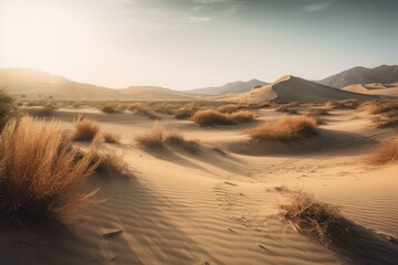 Desert Landscape