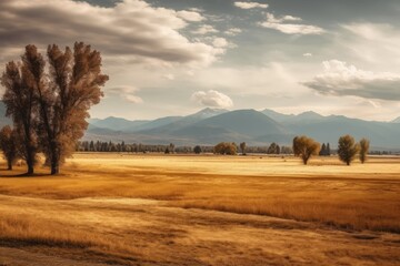 Obraz premium Rolling Meadows