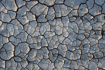 Dry cracked earth background, texture, climate change, global warming, desert