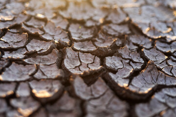 Fototapeta premium Dry cracked earth background, texture in sunset rays