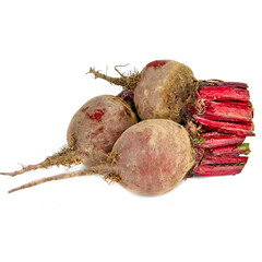 Young beetroot with a tail on a white background