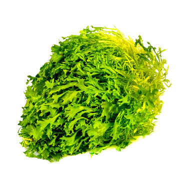 Frisse salad on white background