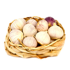 Garlic Solo on white background