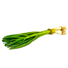 Garlic with tops on a white background