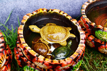 Feng shui turtle for good luck, attract positivity
