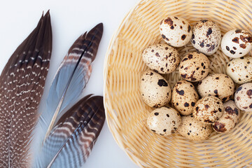 Quial eggs and quial feathers on white background
