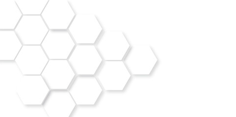 Background with hexagons . Abstract background with lines . white texture background . hexagon abstract background. Surface polygon pattern with glowing hexagon paper texture and futuristic business.