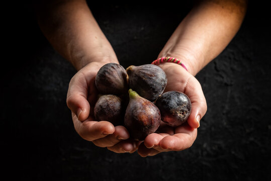Manos sosteniendo un mont&oacute;n de higos sobre fondo oscuro con luz tenue