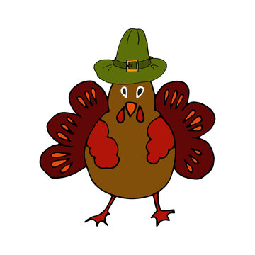 vector doodle cartoon color illustration of a turkey in a hat. Funny cute bird - Thanksgiving holiday symbol