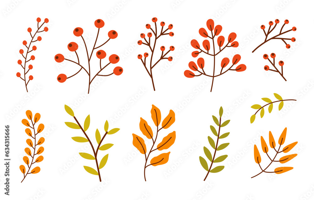 Poster colorful set of different branches with leaves, red berries isolated on a white background. vector i