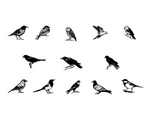 Collection of bird icons, birds arts. Birds silhouettes vector illustration.