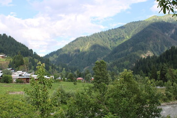 Fototapeta na wymiar Scenic view of the natural beauty of Tao Butt, Neelum Valley, Kashmir. Tao Butt is famous for its lush green trees and natural beauty.