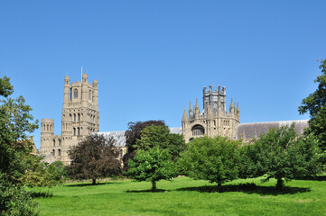 Fototapeta premium Ely Cathedral and Trees in Summer