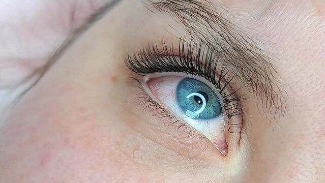 Close up of eye with eyelash extensions ,beauty salon treatment ,2d volume, 3d volume, classical lashes,Russian volume,megavolume, new set.