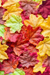 Naklejka na ściany i meble Colorful seasonal autumn background pattern, Vibrant carpet of fallen forest leaves.