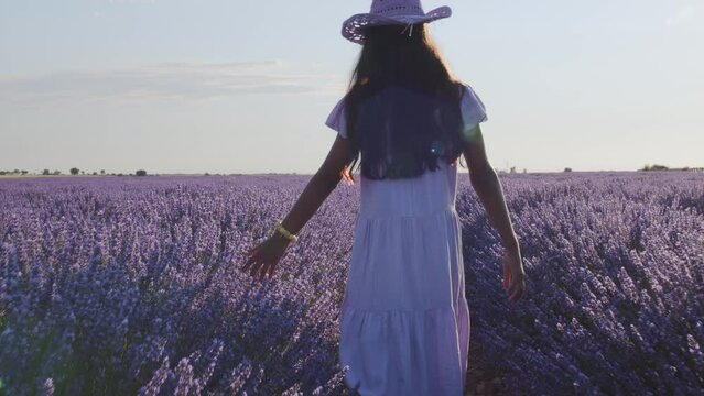 Teen girl walks by blooming lavender fields with blue lavender flowers in summer day. Farm for the production of lavender oil.