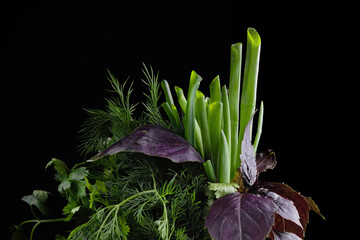 A variety of a fresh herbs black bacground. Oregano, parsley, dill, chives