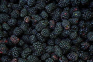 Close up fresh ripe blackberries as background. Top view, Flat lay