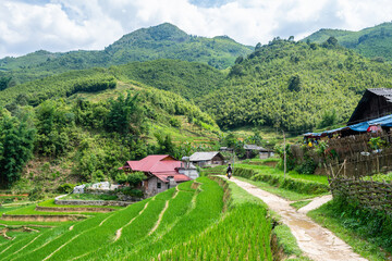 countryside view of sapa valley, vietnam