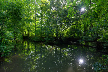 Fototapeta na wymiar Orvanne river in Moret-Loing-et-Orvanne village. French Gatinais Regional Nature Park