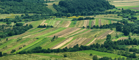 Fototapeta na wymiar Plowed fields surrounded by green trees. Rural landscape in the highlands