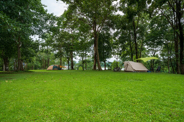 nature landscape camping or glamping cabin tent on green grass or lawn campground and tree for camper family holiday vacation on rainy season and cloudy at pom pee campsite in khao laem national park - obrazy, fototapety, plakaty