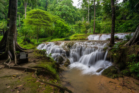 waterfall stream on nature clear motion water and green trees jungle in natural forest environment or rainforest at Kroeng Krawia waterfall in Thailand on rainy season cloudy for landscape background
