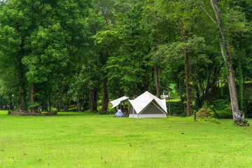 nature landscape camping or white glamping cabin tent on green grass lawn campground and tree for camper family holiday vacation on rainy season at khao laem national park in ka teng cheng waterfall - obrazy, fototapety, plakaty