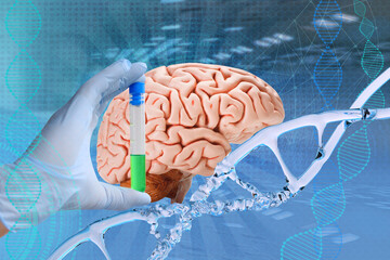 doctor, scientist is studying the human brain, the concept of medical health, intellectual...