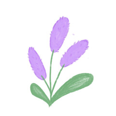Fototapeta premium Flower 