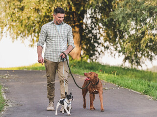 Charming dog, pretty little puppy and attractive man walking in the park against the backdrop of...