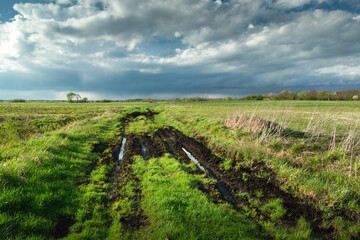 May landscape with a view of a dirt road and green meadows with a cloudy sky, Eastern Poland
