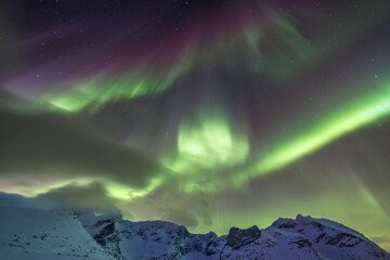 Polarlichter über Tromvik, Nordnorwegen - 634347041