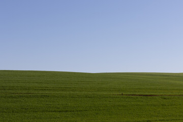 Monoculture Farmer in the region of Pato Branco - Paraná - Brazil