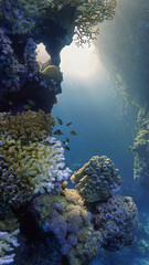 Underwater photo of rays of sunligt inside a cave