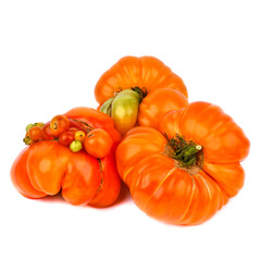 tomatoes on a white background