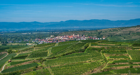 View from the Mondhalde Pavilion viewpoint on Burkheim (Vogtsburg), Rhine plain, Vosges. Kaiserstuhl, Germany, Europe